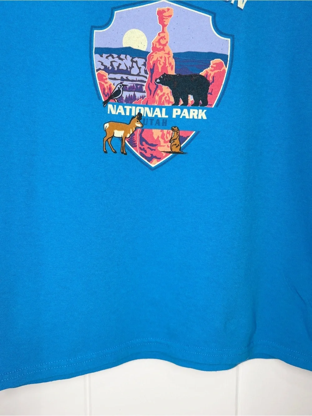 Bryce Canyon Kids Short Sleeve Tee Teal Blue Size Medium